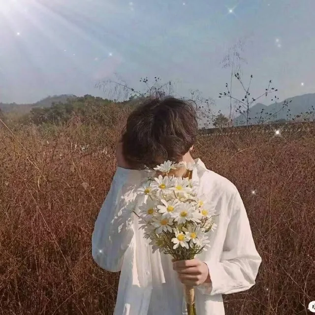 半盏清欢